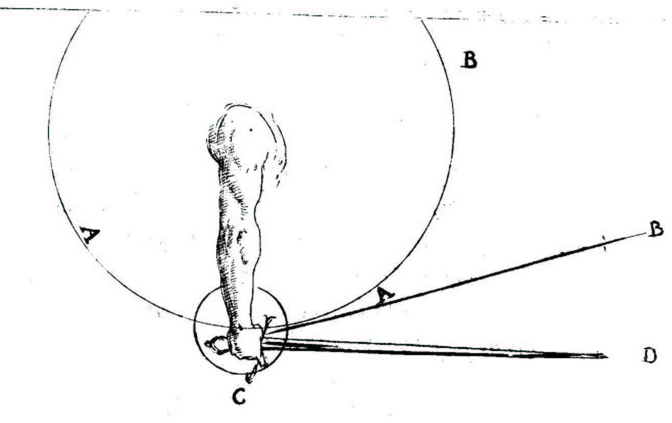 Circular movment of the arm, strait thrust of the point.